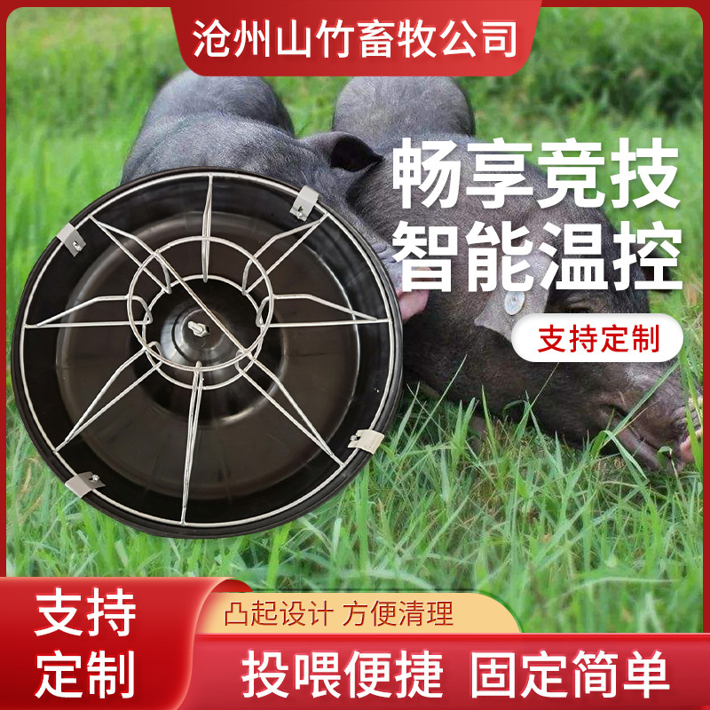 厂家仔猪补料槽养殖设备小猪食槽猪料槽保育喂猪料槽饲料机械立式