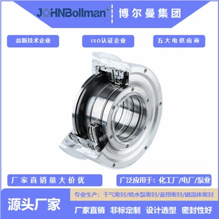 JOHNBollman干气密封DGS20/98-E4-U西门子透平机用博格曼干气密封