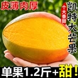 农场正宗新鲜大果水果