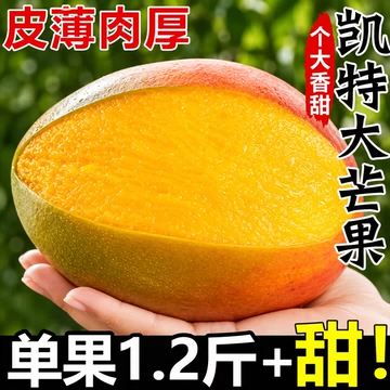 正宗凯特芒果新鲜大果水果现摘当季整箱甜青皮包邮青皮芒回购农场