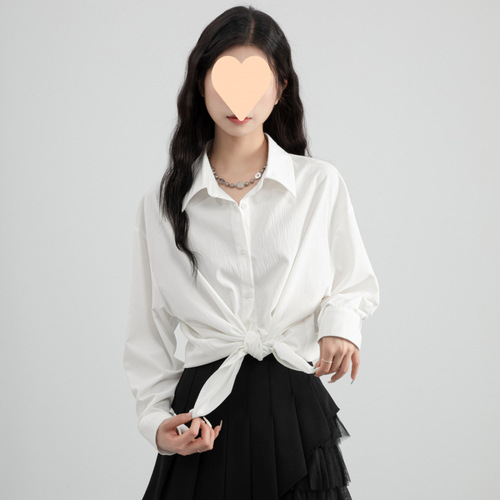 Blue Chiffon Shirt for Women - Spring and Autumn Season 2025 - Loose and Slimming Collar-Up Long-Sleeve Blouse