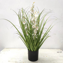 �¿�������^�\�Gɫ�JȔ����ɫ�ѹ�Ӣ�Ҿ������bٻ��[�����滨