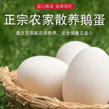 农家鹅蛋6枚80-100g当天鲜蛋土散养鹅蛋笨新鲜