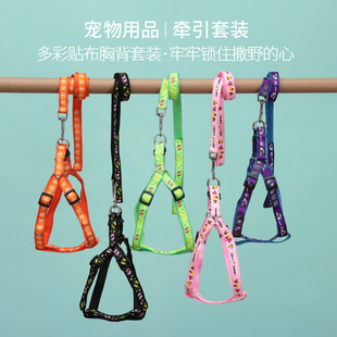 Cat Leash with Colorful Patches, Cartoon Leash, Cat Walking Leash for Outdoor Use, Anti-Escape Cat Chain, Manufacturer in Stock