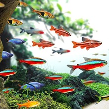 �Ꭷ�^�p���~���B��ɏ�����R��ˮ���~����ʹ��ȸС�ͼt�G����С�~