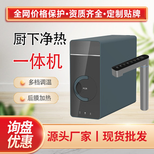 Internet of Things Thick Film Heating Water Purifier Net Heat Integrated Reverse Osmosis Water Purifier Household Kitchen Tap Water Filter