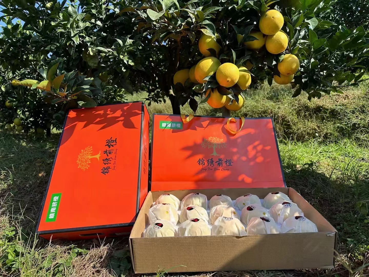 微信图片_20231123214054