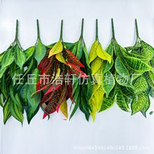 26�~���R�~ ��Ƥ�~���m �̈������Gֲ�����滨 �¿��辰�zƤާ�~