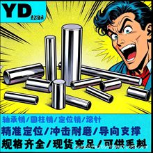 直径22mm轴承钢圆柱销定位销滚针工程机械销导轨滚子固定销