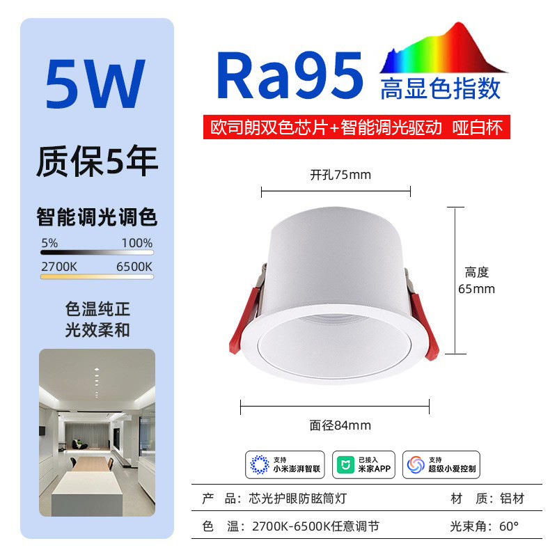 5w matte white connected⼊⽶Home app