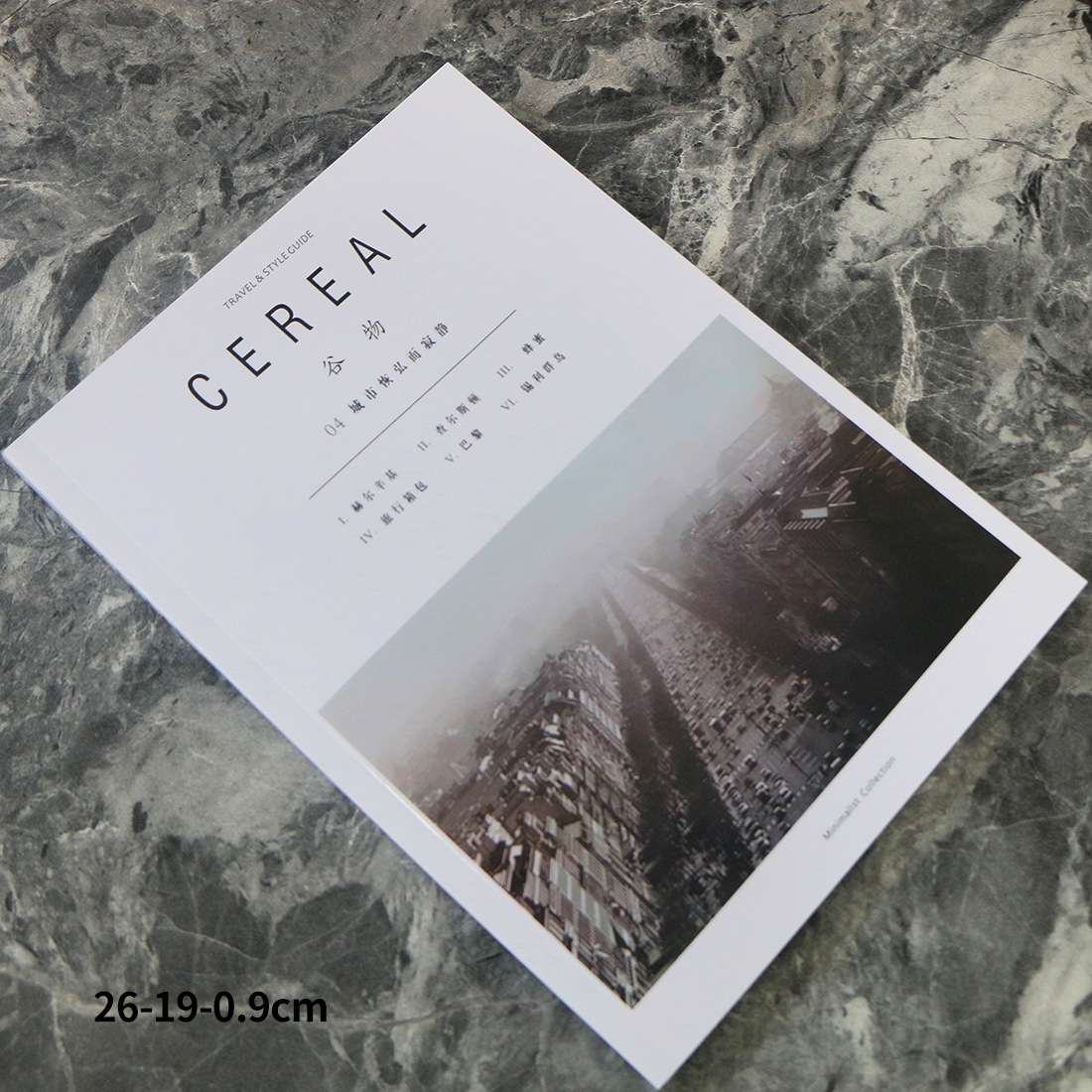 INS--26-19-0.9CM-cer2