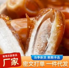 �½�ɳ���SҬ���������ۗ��ɴ��l���l�ϰ�ɳĮ������S��Ҭ����