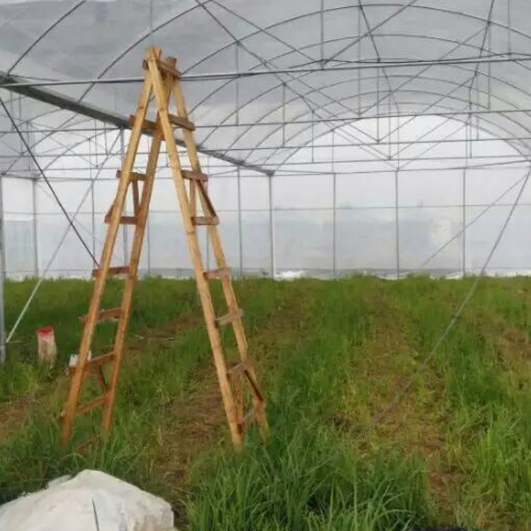 供应 花卉连栋温室大棚 草莓种植热镀锌钢管大棚多肉保温大棚钢架