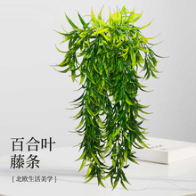 ����ֲ��ٻ��ٺ��~�ٗl���ϴ����ӱڒ���@�҃ȵ��m����Gֲ