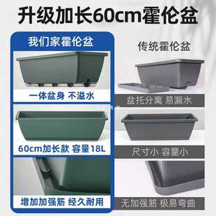 ?�����L���β�ݮ�����ϷNֲ���̖�̨�N�����L�l�N����