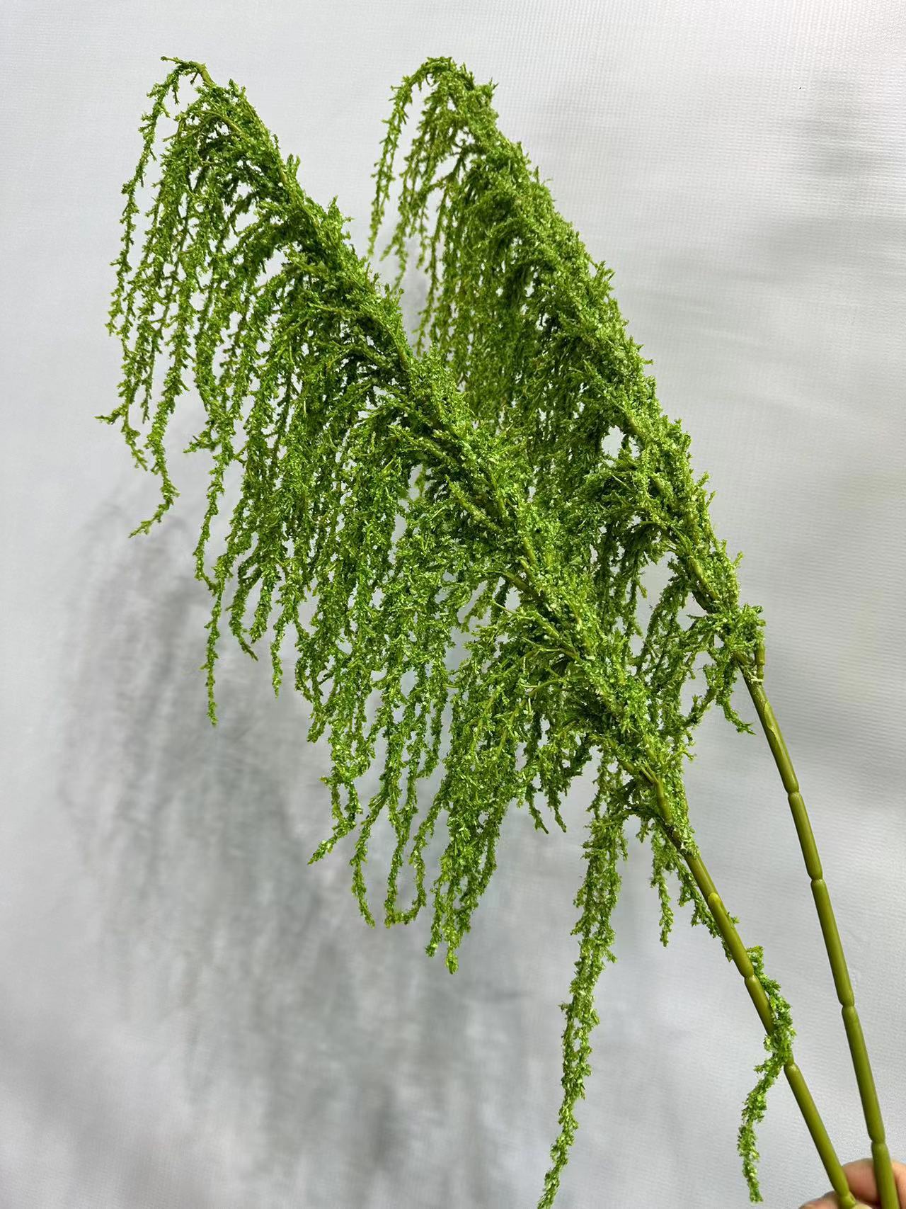龙须1