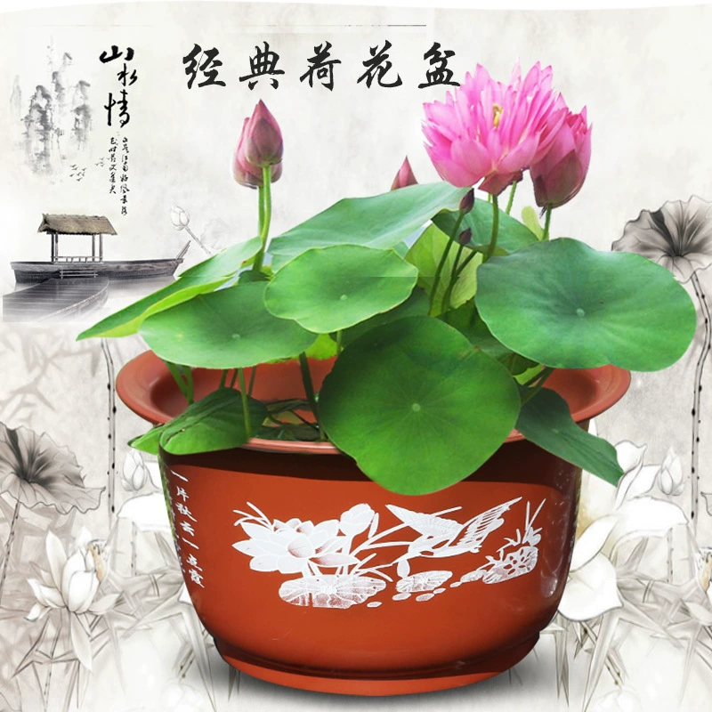 Классический цветочный горшок лотоса Специальный горшок лотоса Смола без отверстия гидропонная спальная чаша лотоса кирпич красный