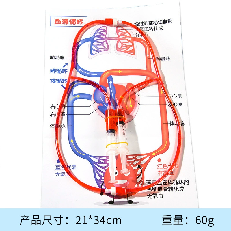 Materials set for experiments for kindergarten, DIY, science, generating electricity, mini experiment, Birthday gift