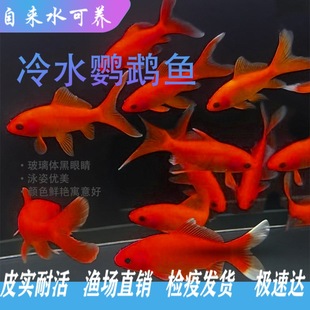 ��ˮ�W�^�~Ѫ�W�^�t���~�\����ˮ�^�p�~���w�~����B�ͻ�lؔ�~