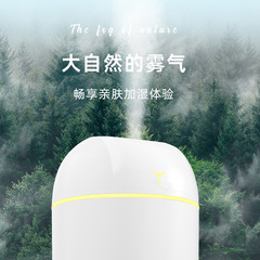 New Mini USB Air Humidifier Small Car Spray Air Aromatherapy Corporate Gift Logo Making Wholesale