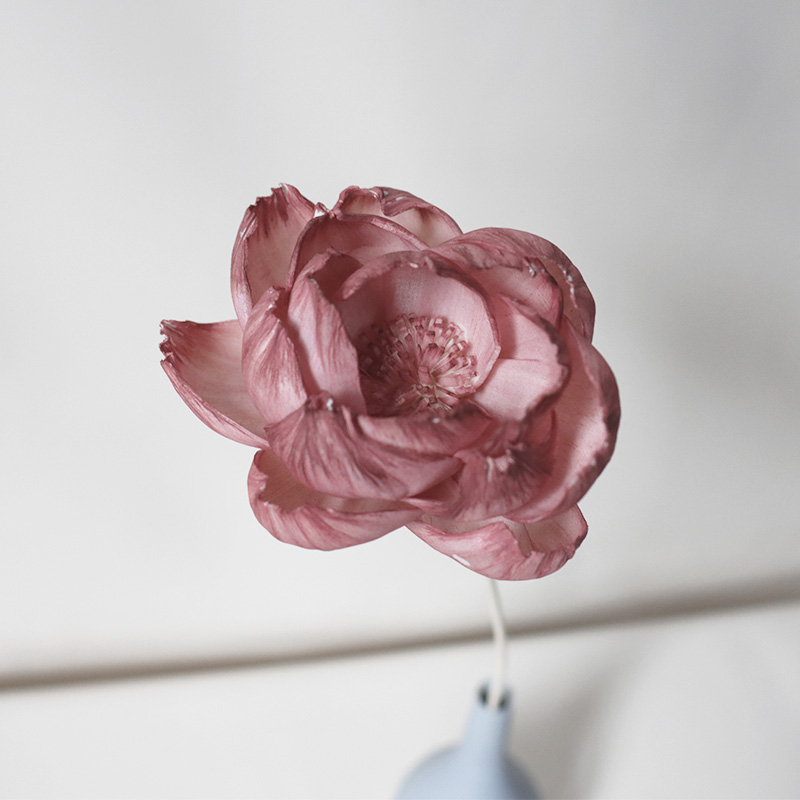 Una flor de peonía de Camellia oleifera