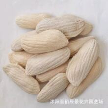 â���N���ļ��Nֲ�׻�N�ѽ��â�t�F��ͥԺ�̨�����߲�ˮ���N��