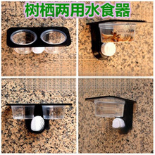 ���x����ˮ��ʳ��޽��،mιʳ̨���x����̨�G�����֩������x��