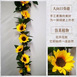 ���տ����ٷ��滨�ٻ��󻨌����b��ٗl�Ҿӹܵ��p�@