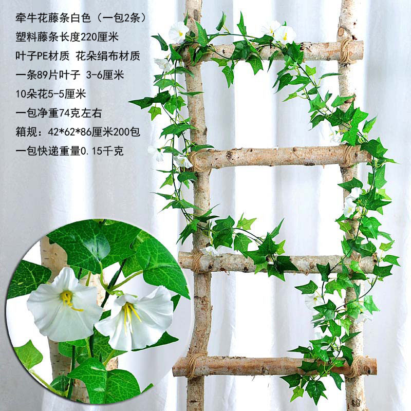 Petunia Ratán blanco (un paquete de 2)