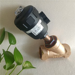 ԭ�b��Ʒ�F؛������ͨ���y2000A DN40mm PN16bar����00001250