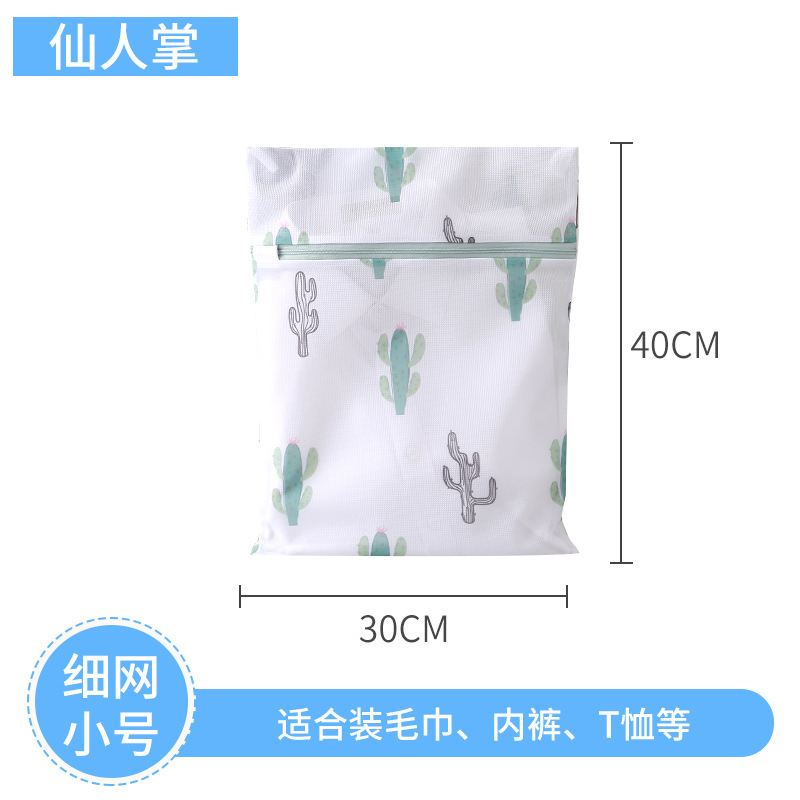 Cactus s s (30*40cm)