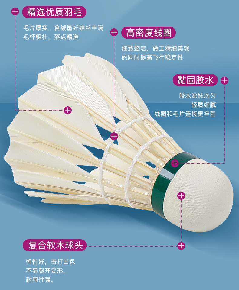 0c837590-828a-467d-abfc-9add4ef33ef7.jpe