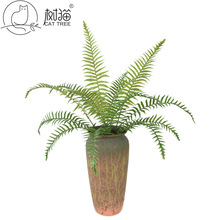 ���沨˹�~�Ų�ާ�ֲ��15�~��ˮ����ާ���b�����Gֲ�������ϲ�