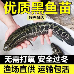 ���~�絭ˮ�Bֳʳ�����~���ش���B������ˮ�^�p�~Сؔ�~����~��