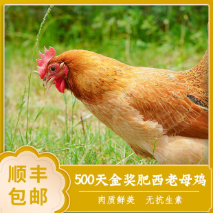���rɭ�𪄷�����ĸ�u���������r�aƷ�𪄮aƷ��S���]һ�����l