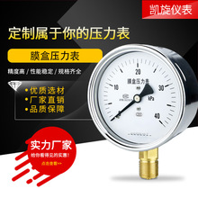 膜盒压力表YE100微压表千帕表天然气表DN15 M20*1.5配套燃烧机