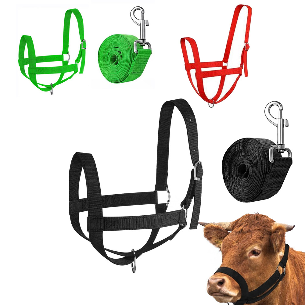 국경 간 승마 용품 말 케이지 말 소 헤드 기어 견인 밧줄 조정 가능한 나일론 테더 로프 라벨
