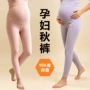 秋冬孕妇保暖百搭打底裤