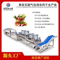 果蔬毛辊气泡清洗风干生产线.jpg