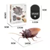 Remote control big cockroach*