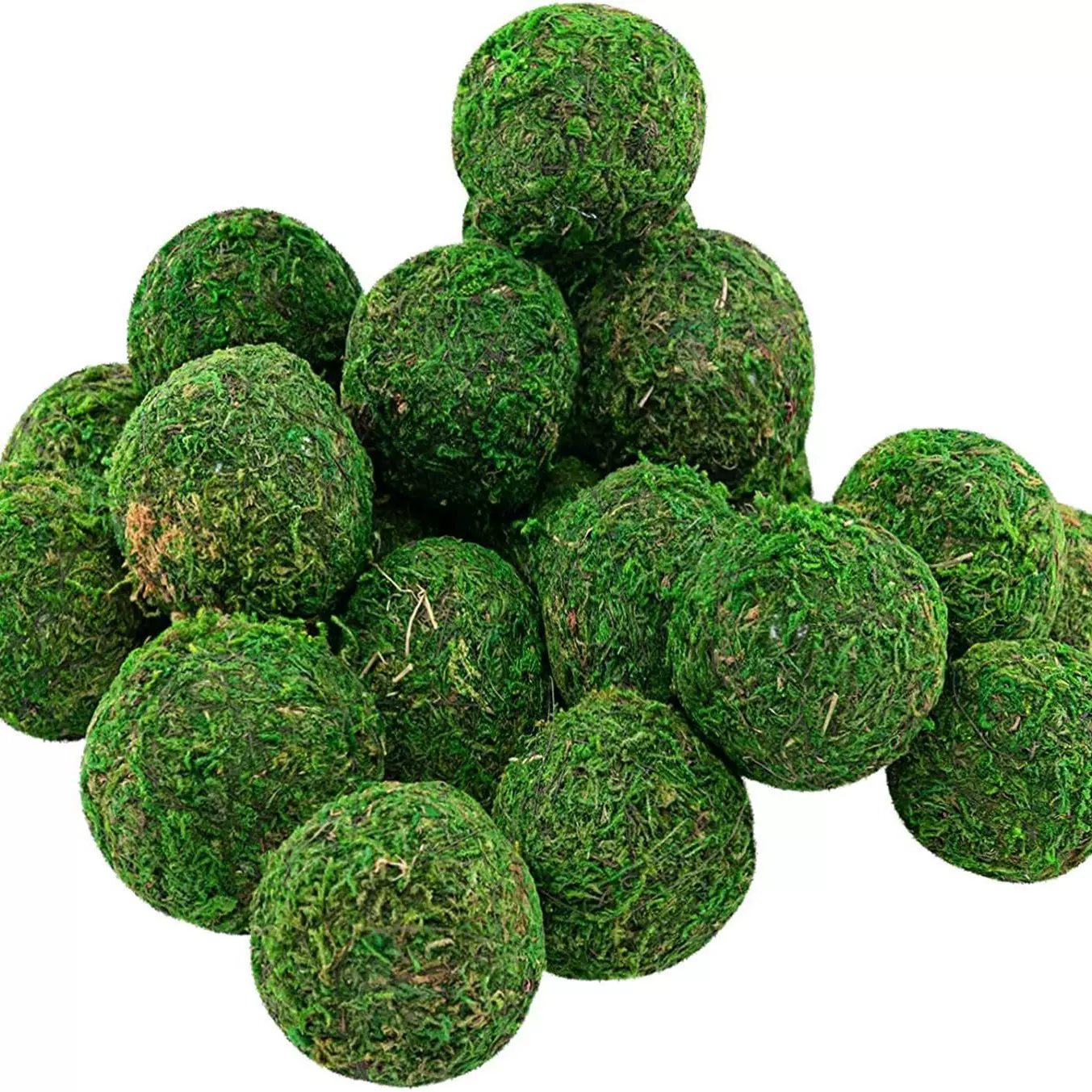 厂家跨境专供真青苔球苔藓球园艺花盆盆栽 草球干花球干花挂饰吊