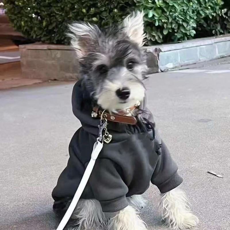 秋款宠物小狗狗卫衣简约小型犬宠物衣服ins风纯色保暖比熊泰迪犬|undefined