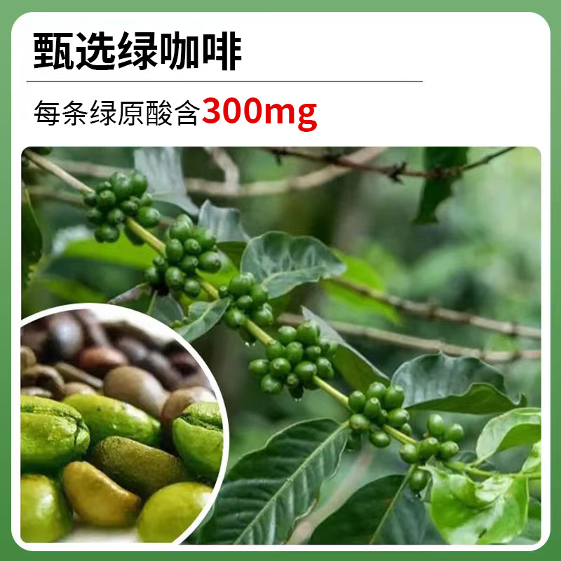 马黛茶绿咖啡盒装-主图2.jpg