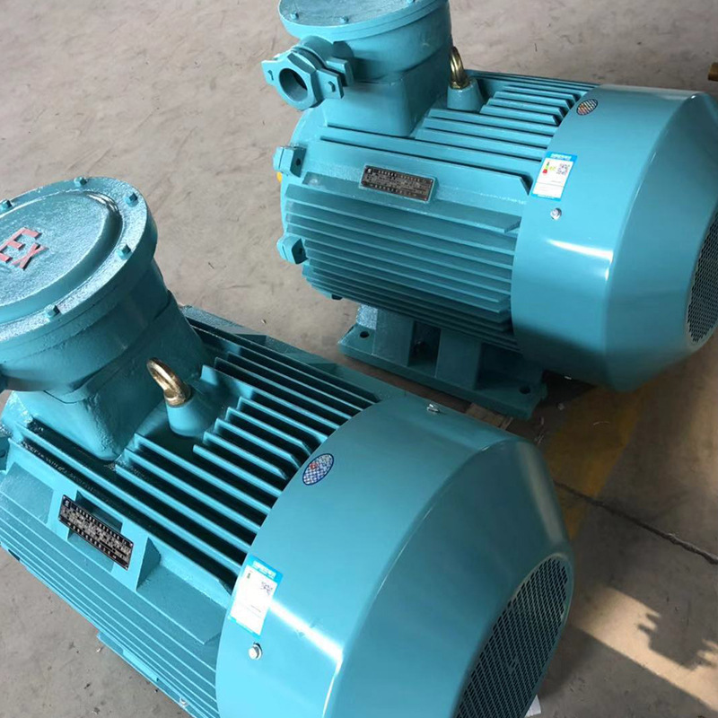 鸿泰高压隔爆型三相异步电机YBX2-5604-6	1000KW	10KV	堵转转矩大