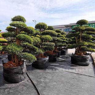 С�~����Ϙ�����ֱ�۳������ͥԺ���͘��骰�����ͥԺֲ��