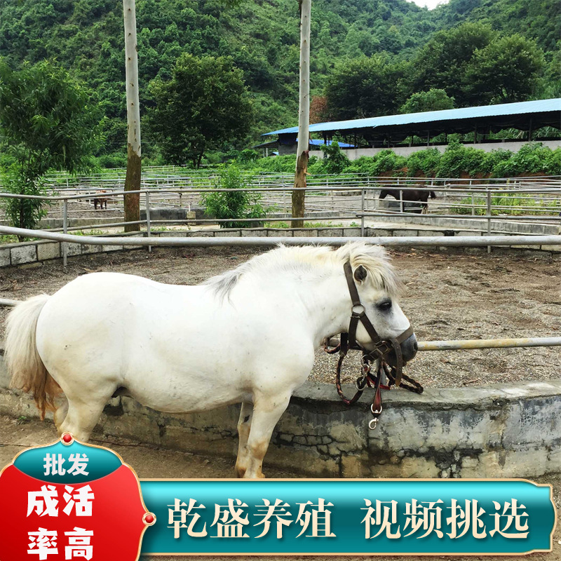 lQDPJw1M_xCmWjnNCDjNDHiwevE4JQ