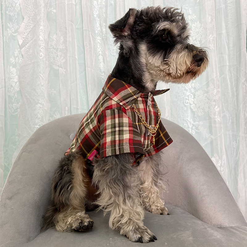 Ŀ· СȮ̩ϲѩӳ ȫ޸ӳ