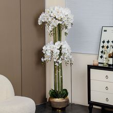 仿真花蝴蝶兰盆栽3d打印显纹办公室摆件高端大气上档次带花盆景