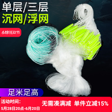 ~WճWzWOWӳWΌӸWWa~WחlWС~W~W