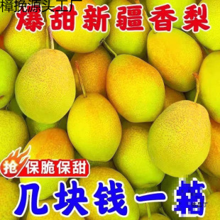 �½��젖���������rˮ������3510�ﱡ���摪���t����������